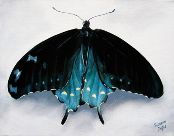 Contemplation: Velvet Night by Susanna Pantas